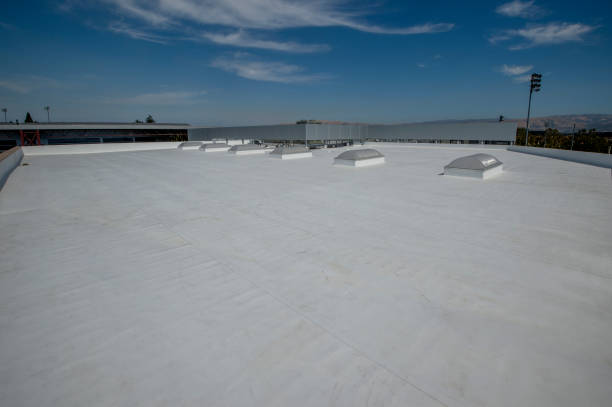 Best Roof Ventilation Installation  in Milton, WV