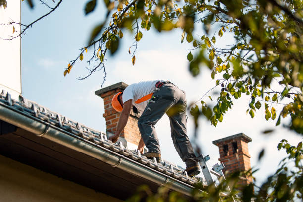 Best Asphalt Shingles Roofing  in Milton, WV